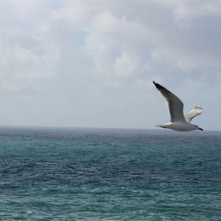 Acogedor Con Vista Al Mar Lägenhet